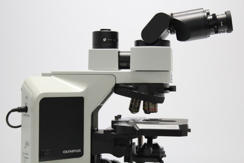 Микроскоп Olympus BX43 как базовый инструмент лаборатории