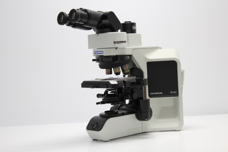 Микроскоп Olympus BX43 как базовый инструмент лаборатории