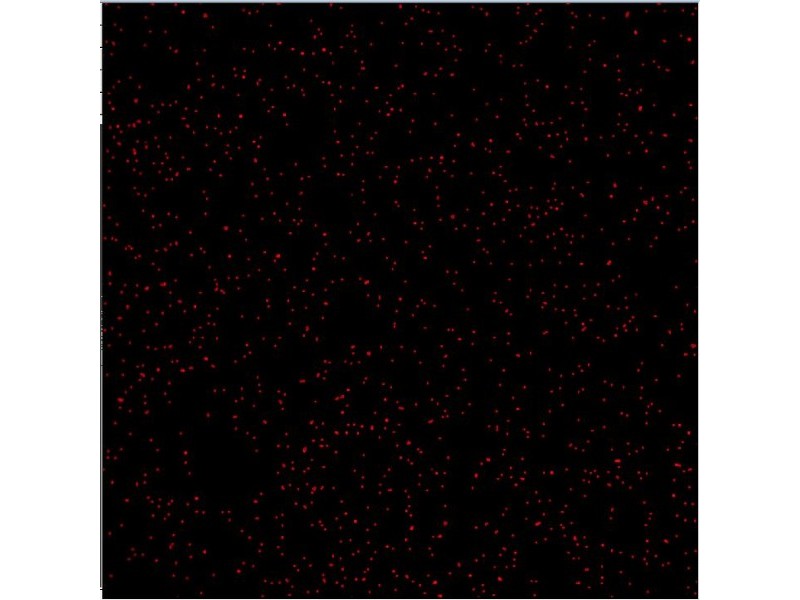 Molecular Devices ImageXpress Micro Confocal High-Content Imaging System