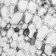 Andor iXon Ultra 897 Monochrome EMCCD Microscope Camera