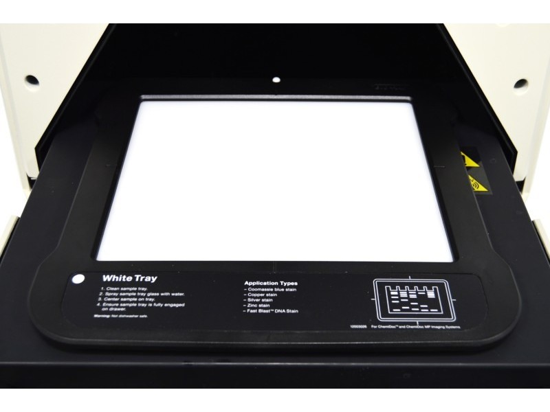 Bio-Rad ChemiDoc Imaging System Upgraded to ChemiDoc MP for Multiplex Fluorescence Detection