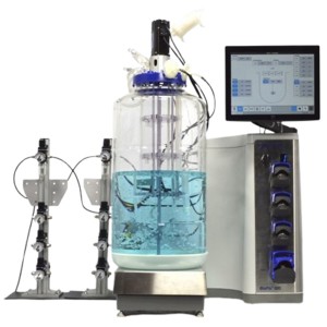 Bioreactors