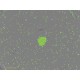 Sartorius Essen Incucyte S3 Live-Cell Imaging and Analysis System w/ G/R Optical Module Unit 2