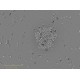 Sartorius Essen Incucyte S3 Live-Cell Imaging and Analysis System w/ G/R Optical Module Unit 2