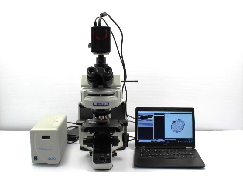 Hamamatsu ORCA-flash 4.0 V3 C13440 Monochrome sCMOS Microscope Camera Unit 2