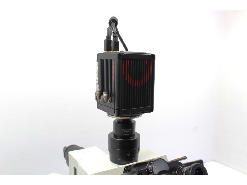 Hamamatsu ORCA-flash 4.0 V3 C13440 Monochrome sCMOS Microscope Camera Unit 2