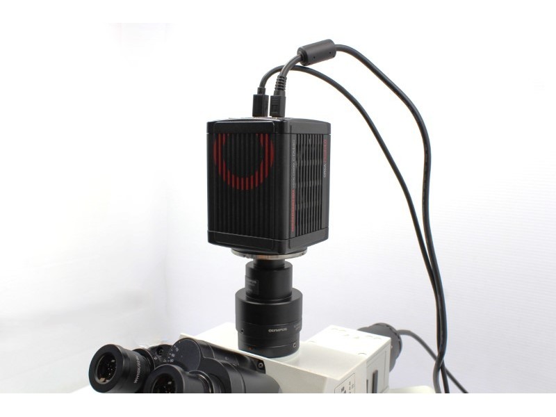 Hamamatsu ORCA-flash 4.0 V3 C13440 Monochrome sCMOS Microscope Camera Unit 2