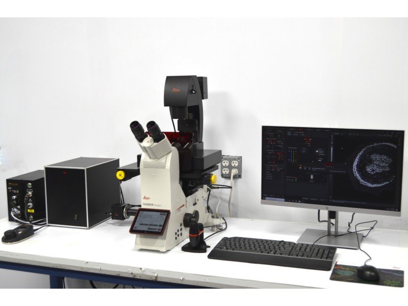 Leica DMi8 THUNDER Imager Motorized Inverted Fluorescence Microscope w/ Adaptive Focus Control