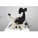 Leica DMi8 THUNDER Imager Motorized Inverted Fluorescence Microscope w/ Adaptive Focus Control