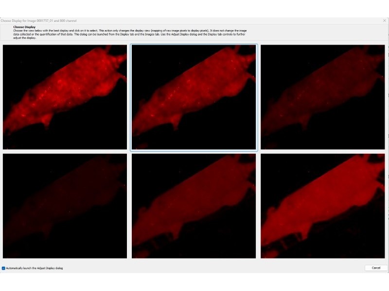 LI-COR Licor Odyssey FC 2800 Western Blot Imaging system Pred XF