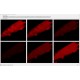 LI-COR Licor Odyssey FC 2800 Western Blot Imaging system Pred XF