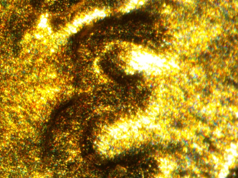 Nikon SMZ1270 Stereo Microscope