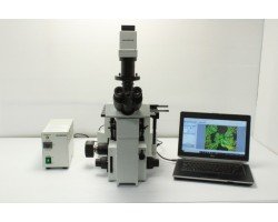 Olympus IX50 Inverted Fluorescence Microscope IX50-S8F2 Pred Ixplore