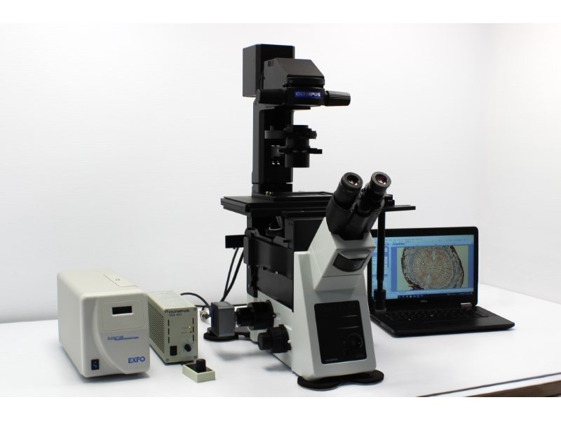 Olympus IX73 Fluorescence Inverted Microscope