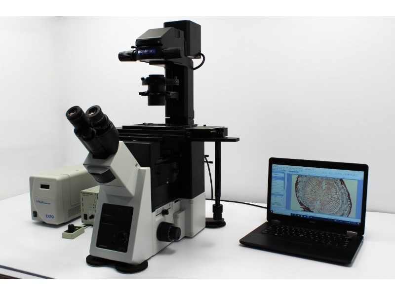 Olympus IX73 Fluorescence Inverted Microscope