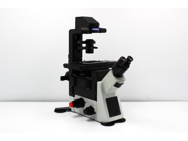 Olympus IX73 Fluorescence Inverted Microscope
