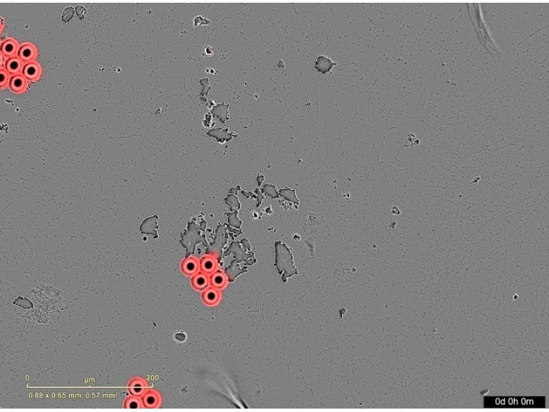 Sartorius Incucyte SX5 Gantry Live-Cell Imaging and Analysis System w/ G/O/NIR Optical Module