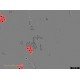 Sartorius Incucyte SX5 Gantry Live-Cell Imaging and Analysis System w/ G/O/NIR Optical Module