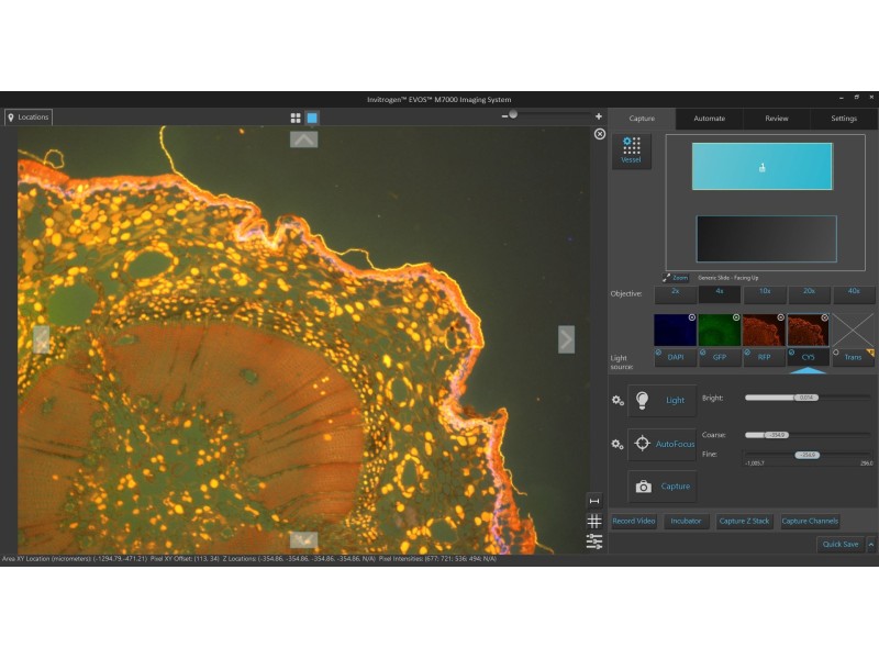Thermo Invitrogen EVOS M7000 Imaging System w/ Onstage Incubator