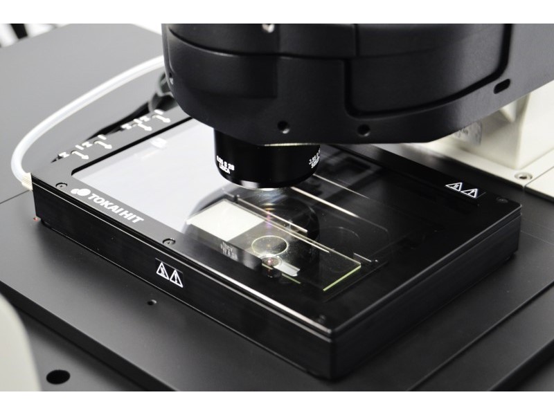 Leica THUNDER DMi8 Inverted Autofocus Fluorescence Motorized Microscope