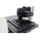 Leica THUNDER DMi8 Inverted Autofocus Fluorescence Motorized Microscope