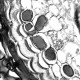 Leica THUNDER DMi8 Inverted Autofocus Fluorescence Motorized Microscope