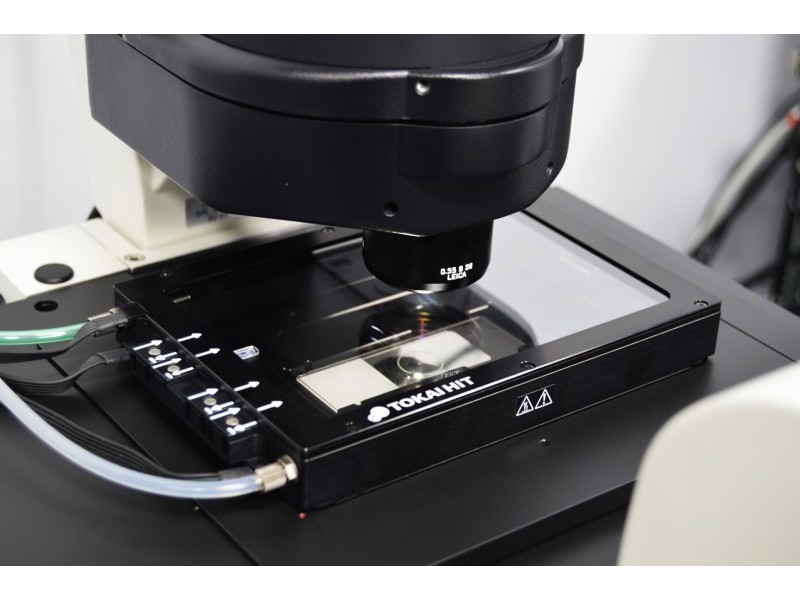 Leica THUNDER DMi8 Inverted Autofocus Fluorescence Motorized Microscope