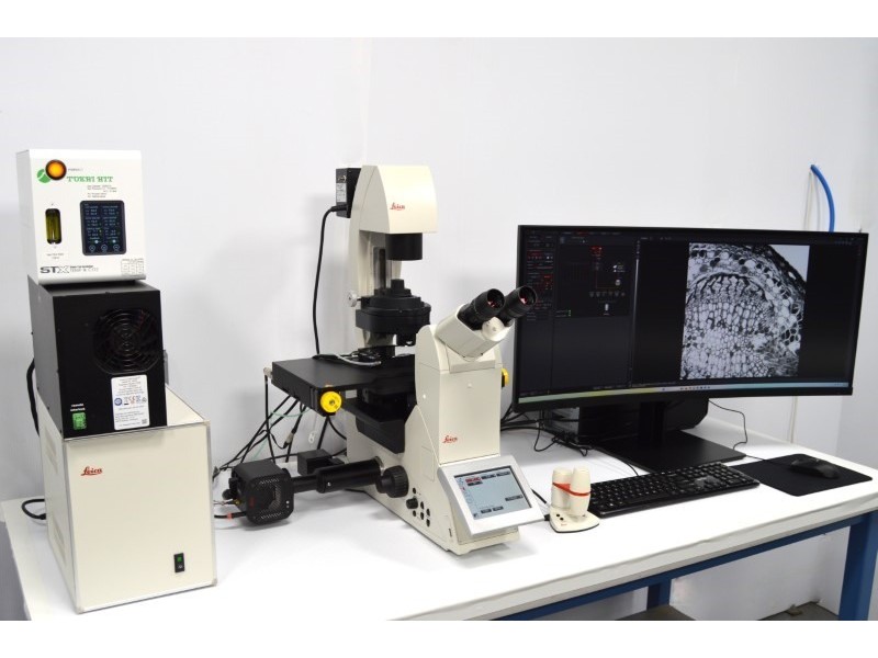 Leica THUNDER DMi8 Inverted Autofocus Fluorescence Motorized Microscope