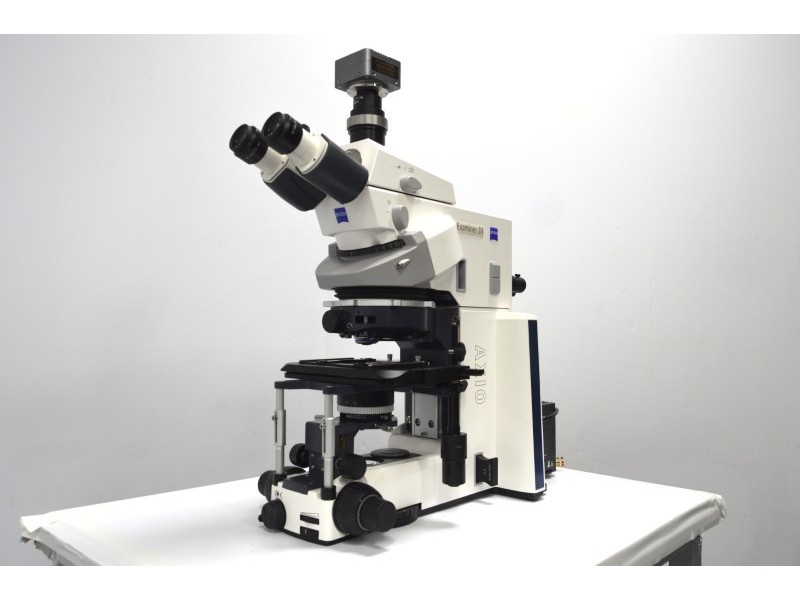 Zeiss Axio Examiner.D1 Fluorescence Dodt Gradient Contrast Upright Water Dipping Microscope with Anti-Vibration Table (New Filters)