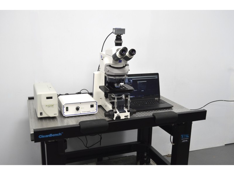 Zeiss Axio Examiner.D1 Fluorescence Dodt Gradient Contrast Upright Water Dipping Microscope with Anti-Vibration Table (New Filters)