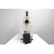 Zeiss Axio Examiner.D1 Fluorescence Dodt Gradient Contrast Upright Water Dipping Microscope with Anti-Vibration Table (New Filters)