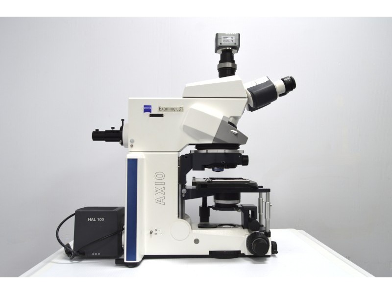 Zeiss Axio Examiner.D1 Fluorescence Dodt Gradient Contrast Upright Water Dipping Microscope with Anti-Vibration Table (New Filters)