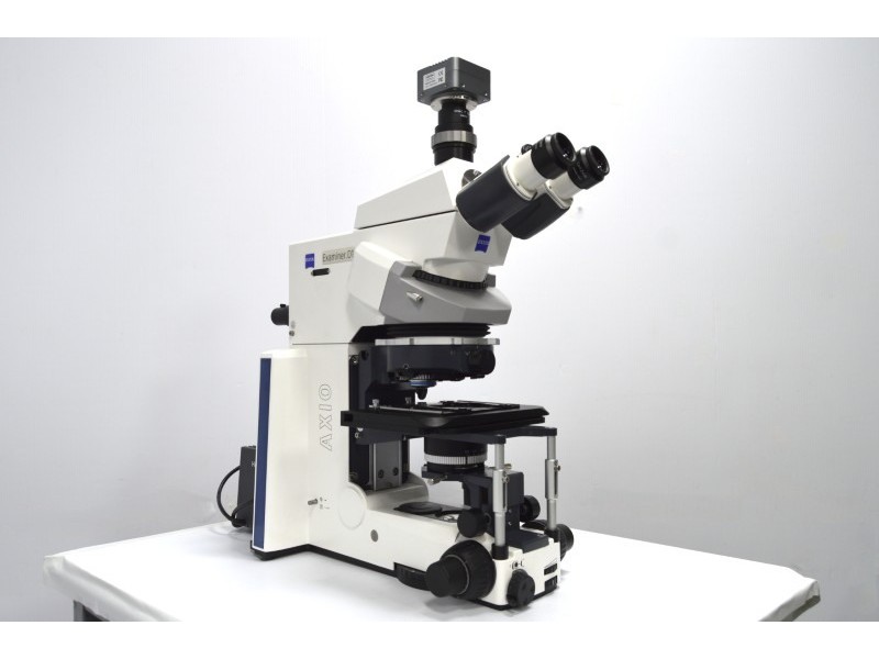 Zeiss Axio Examiner.D1 Fluorescence Dodt Gradient Contrast Upright Water Dipping Microscope with Anti-Vibration Table (New Filters)