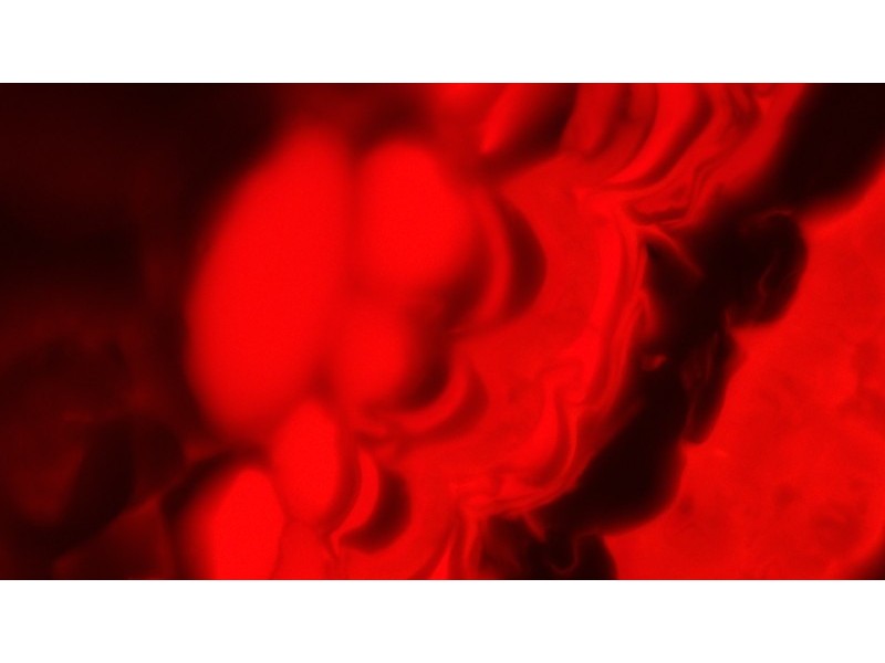 Zeiss Axio Examiner.D1 Fluorescence Dodt Gradient Contrast Upright Water Dipping Microscope with Anti-Vibration Table (New Filters)