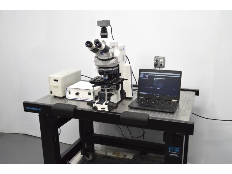 Zeiss Axio Examiner.D1 Fluorescence Dodt Gradient Contrast Upright Water Dipping Microscope with Anti-Vibration Table (New Filters)