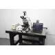 Zeiss Axio Examiner.D1 Fluorescence Dodt Gradient Contrast Upright Water Dipping Microscope with Anti-Vibration Table (New Filters)