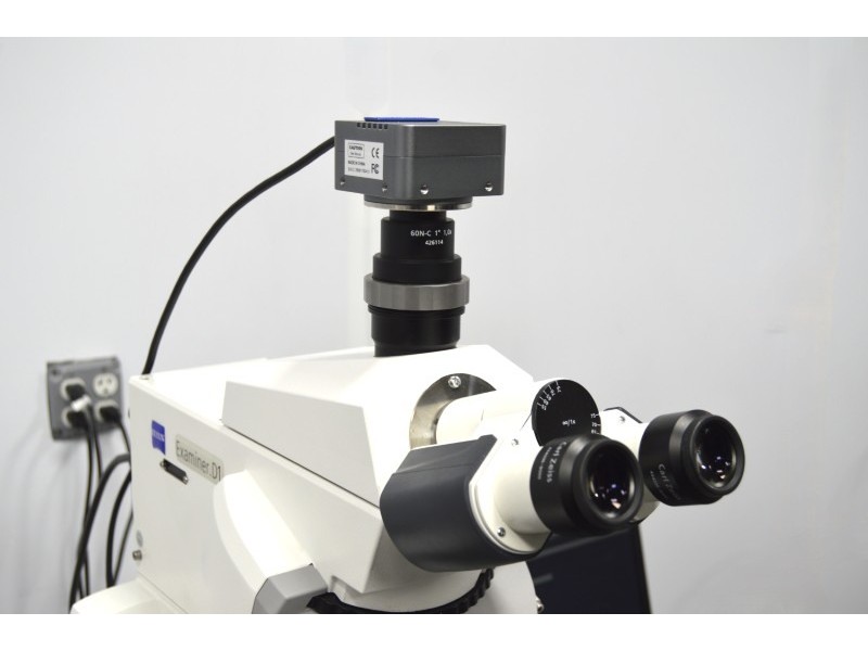 Zeiss Axio Examiner.D1 Fluorescence Dodt Gradient Contrast Upright Water Dipping Microscope with Anti-Vibration Table (New Filters)