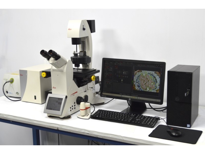 Leica DMi8 Inverted LED Fluorescence Motorized Microscope w/ Adaptive Focus Control (New Filters)