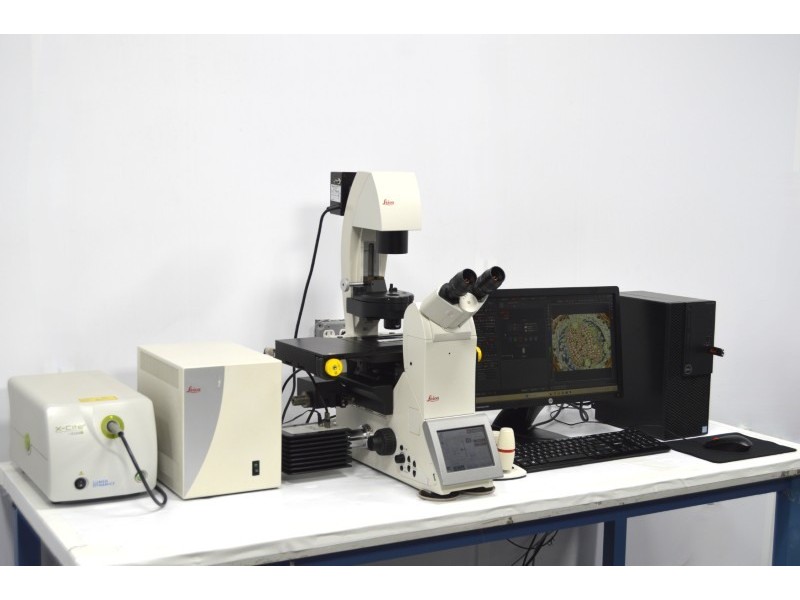 Leica DMi8 Inverted LED Fluorescence Motorized Microscope w/ Adaptive Focus Control (New Filters)