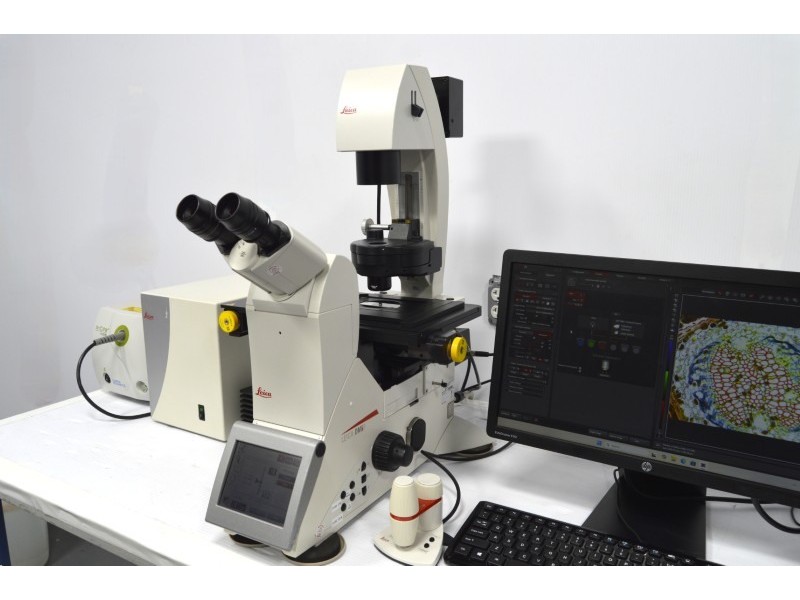 Leica DMi8 Inverted LED Fluorescence Motorized Microscope w/ Adaptive Focus Control (New Filters)