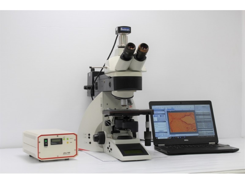 Leica DM4000 Upright Fluorescence Microscope (New Filters Set 1) Pred DM4