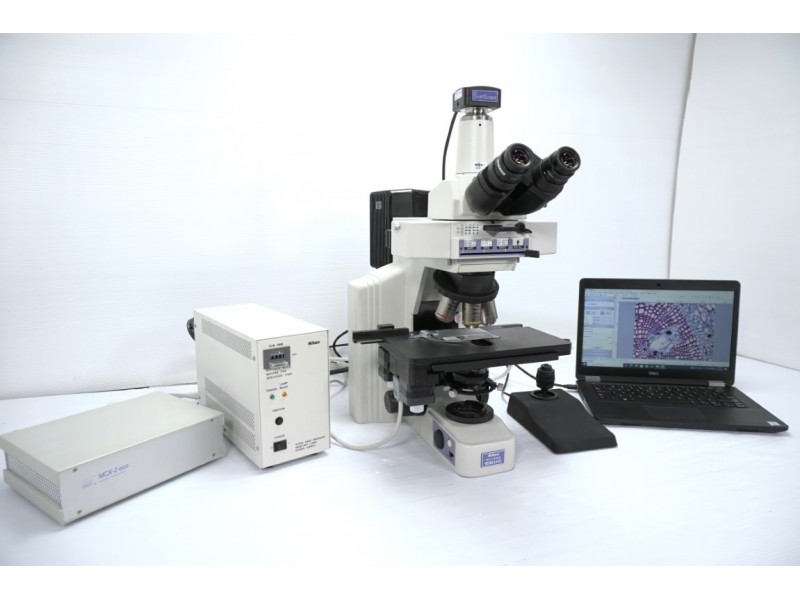 Nikon E600 Upright Fluorescence Phase Contrast Motorized Microscope (New Filters) Pred Ni-U