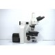 Nikon E600 Upright Fluorescence Phase Contrast Motorized Microscope (New Filters) Pred Ni-U