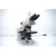 Nikon E600 Upright Fluorescence Phase Contrast Motorized Microscope (New Filters) Pred Ni-U