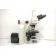 Nikon Eclipse E600 Upright Fluorescence Microscope (New Filters) Pred Ni-U