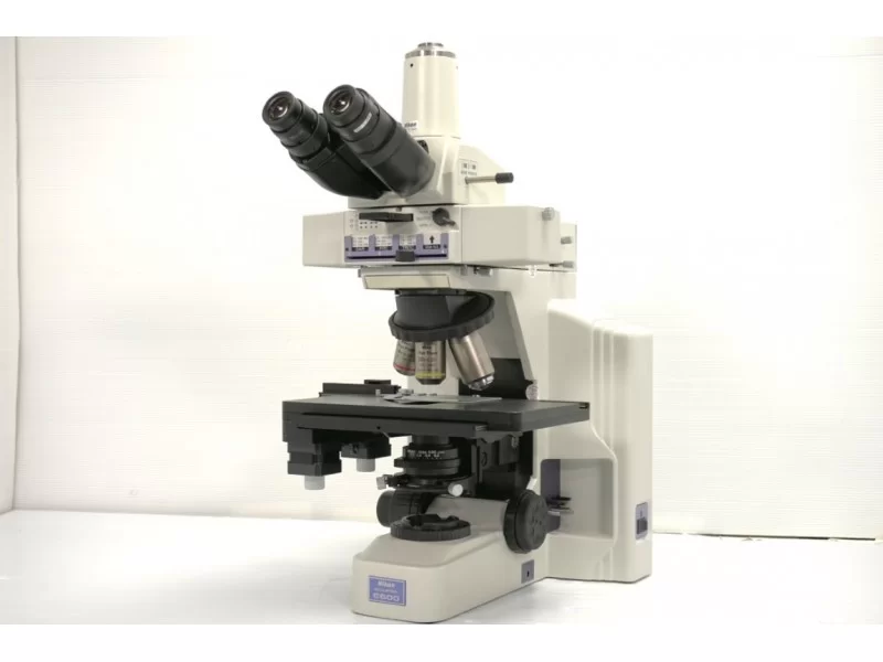 Nikon E600 Upright Fluorescence Motorized Microscope (New Filters