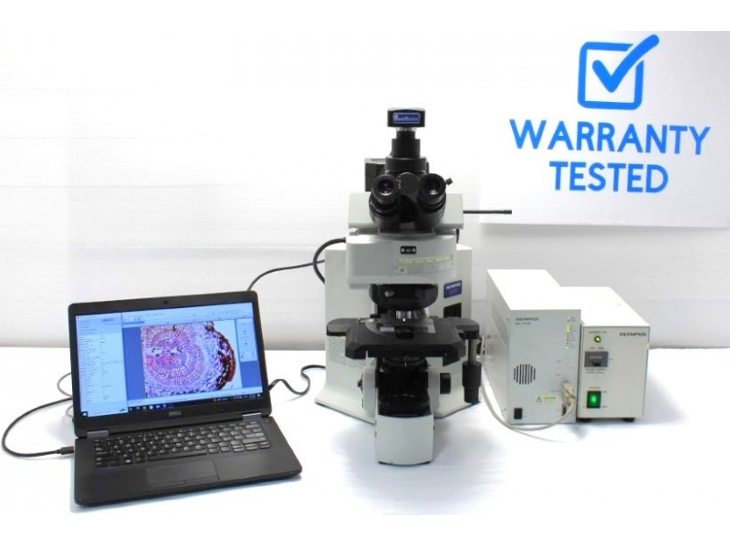 Olympus BX61 Upright Fluorescence Motorized Microscope (New Filters)