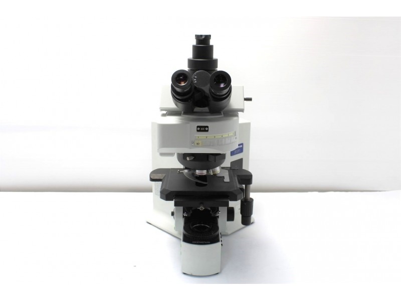 Olympus BX61 Upright Fluorescence Motorized Microscope (New Filters)