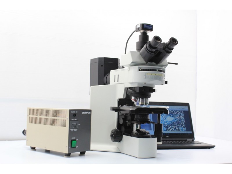 Olympus BX51 Upright Fluorescence Phase Contrast Mechanical Microscope (New Filters) Pred/BX53