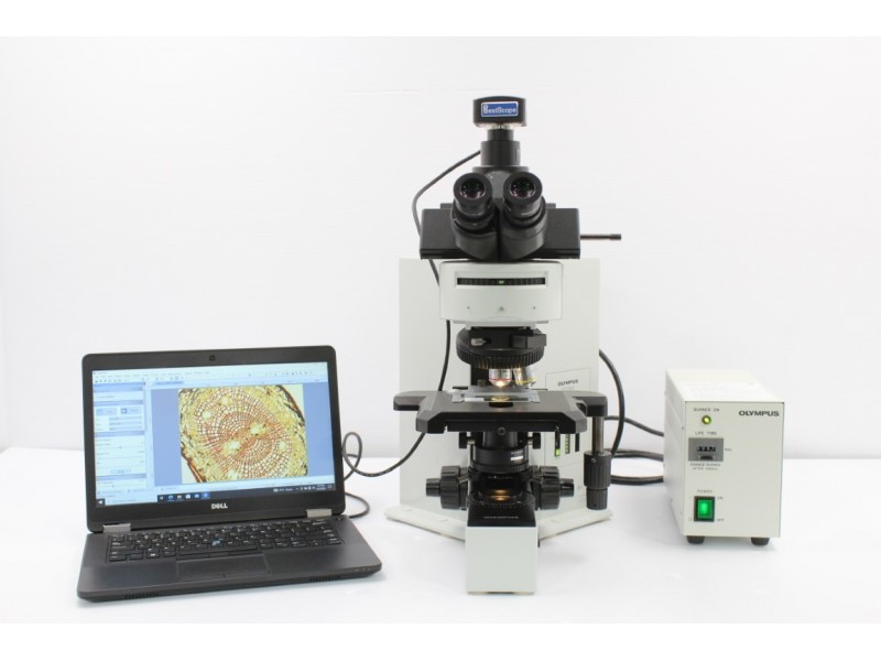 Olympus BX60 Upright Fluorescence Microscope (New Filters) Pred/BX53